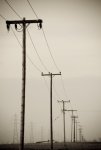 telephone-poles.jpg