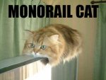 monorailcat1.jpg