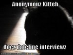 funny-pictures-dateline-interview-cat.jpg