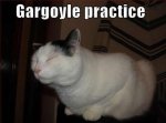 gargoyle-practice.jpg
