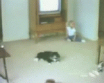 1213301311969.gif