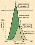 lumeff_001.gif