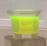 fluorescein1.jpg