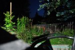 DSC_0644.JPG