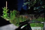 DSC_0701.JPG