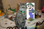 weegee and cat.JPG