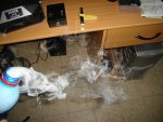 DSC05283.jpg