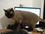 DSC05254.jpg