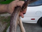 SNAKESON A CARPORT 008.jpg