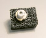 445nm diode-2.jpg