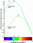 vision-response-curve1.gif