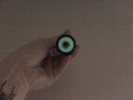 IMG00706-20110129-2006.jpg