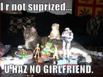 funny-picture-lolcats-u-haz-no-girlfriend.jpg