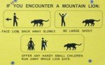 Mountain_Lion_Encounter.jpg