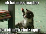 funny-pictures-kitten-fell-off-chair.jpg