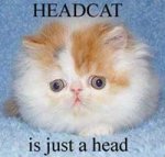 lolcats_headcat.jpg