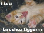 lolcats_faroshuz-tiggerrrr_resized.jpg