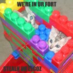 catlegos.jpg