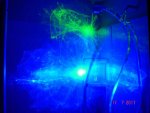 DSC04140.JPG