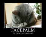 facepalm-cat.jpg