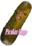 picolas cage.jpg