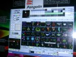 Pangolin QS 006.jpg