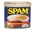 SPAM.jpg