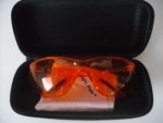 Glasses Case 2.JPG
