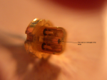 diode2.PNG