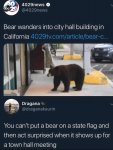 bear.jpg