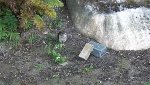 IMG_8297.JPG