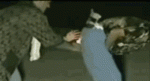 1213495765584.gif