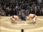 super_sumo.gif