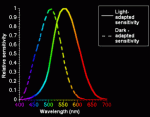 photopic-scotopic-vision.gif