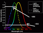 photopic-scotopic-vision_001.gif