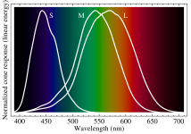 Cone-fundamentals-with-srgb-spectrum.svg.png