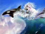 Dolphin_Unicorn.jpg