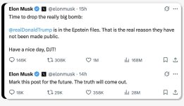 Elon Epstein Tweet.jpg