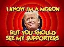moron.jpg