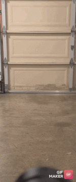 export_0 3.gif