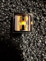 IMG_2435.jpeg