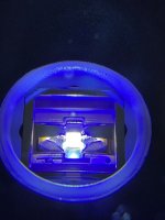 IMG_2524.jpeg