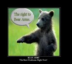 Beararms3.JPG