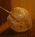 gold_tomatillo_001.jpg