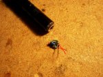 100_0235.jpg