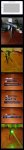 Story-2c.jpg