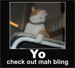 checkout.png