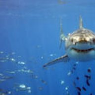 jaws2002