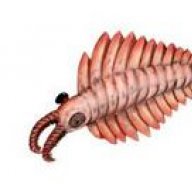 Burgess_Shale